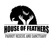 The House of Feathers