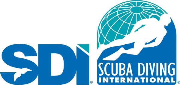 scuba diving international 