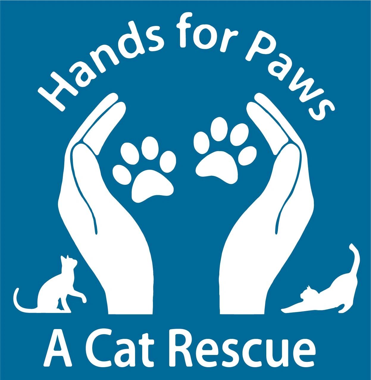 Hands for Paws - a Cat Rescue - Cats, Adopt a Pet, Cats, Kittens