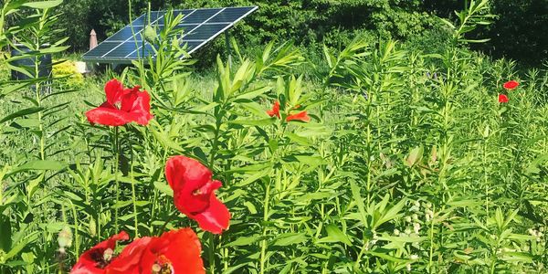 My personal system commissioned in 2012. Still running on the original equipment.