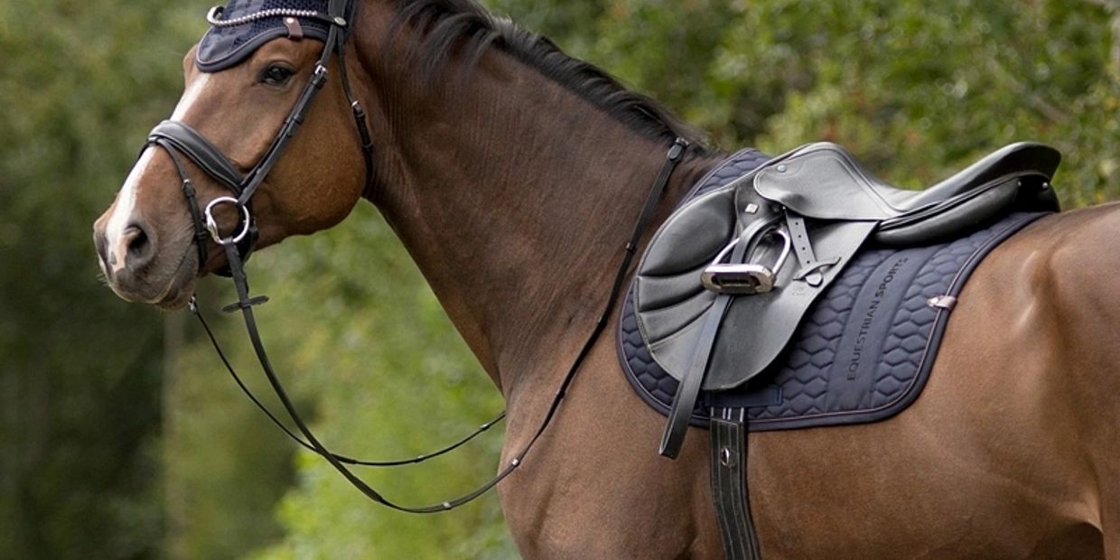 low cost equestrian equipment