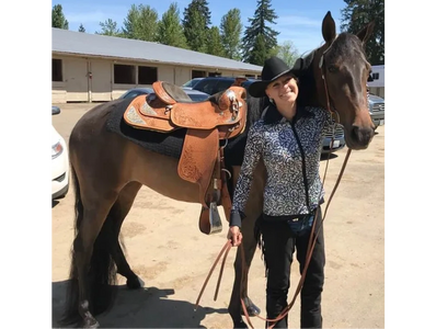 TWH gaited horse WVT nw gaited trainers 