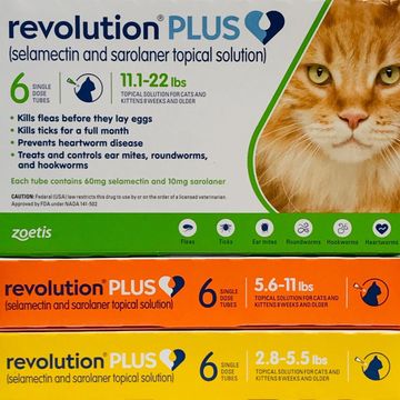 Revolution vs Revolution Plus: Which Is The Better Product? -  CanadaVetExpress - Pet Care Tips
