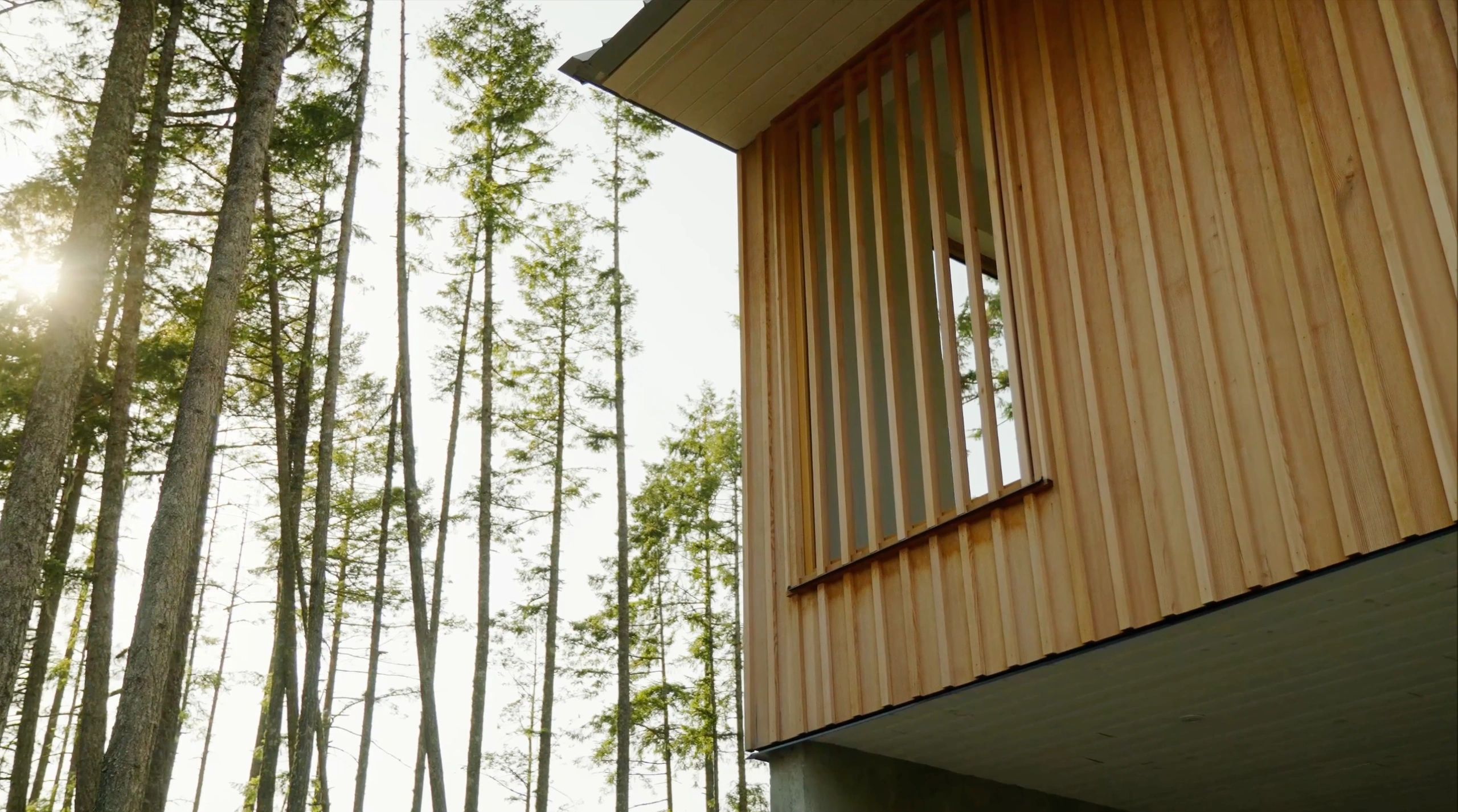 Wood-paneled house exterior with vertical slats near tall trees.