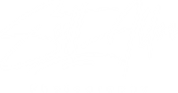 Scott Allen Photography 