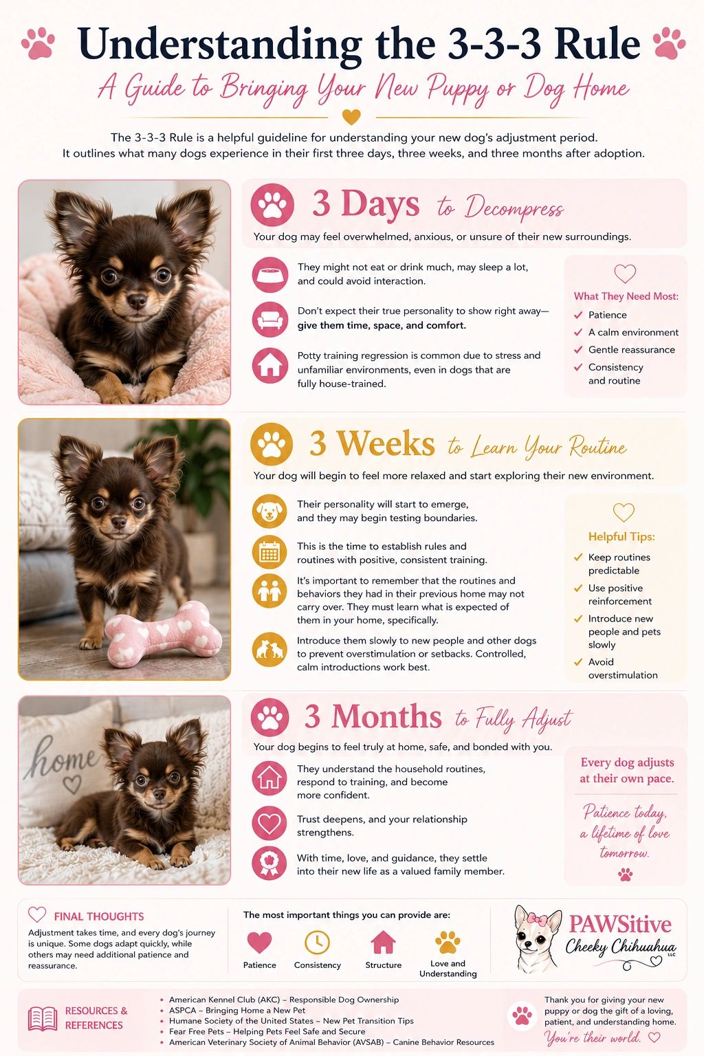 Infographic explaining the 3-3-3 rule for new puppies' adjustment periods.