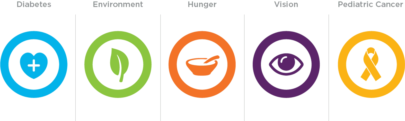 Lions Clubs International Foundation 5 areas: Diabetes, Environment, Hunger, Vision, PediatricCancer