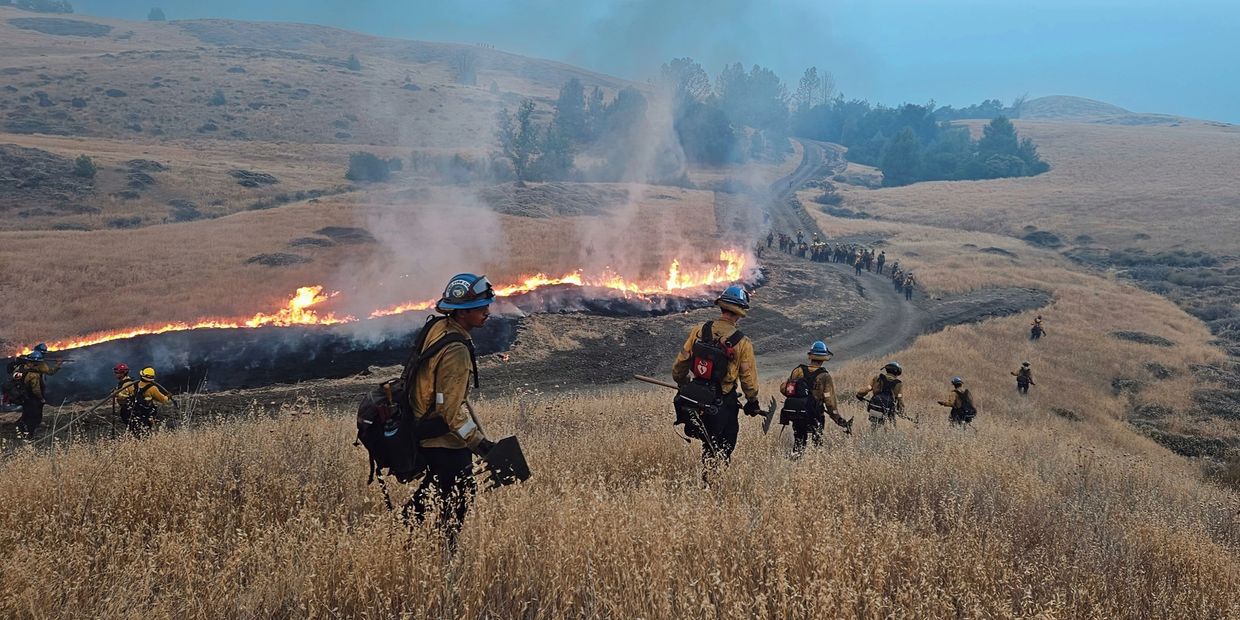 Firefighters walking near a controlled fire in a field.