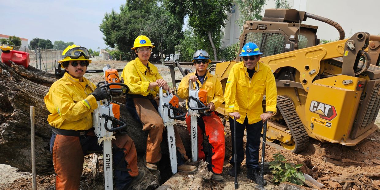 Four workers with chainsaws in safety gear beside heavy machinery.