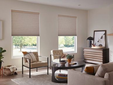 Electric Shades and Battery Powered Honeycomb Shades by Lutron installed by WireWise in Fargo, ND