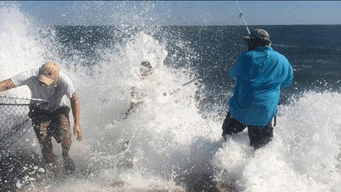 TEXAS JETTY WALKERS 
