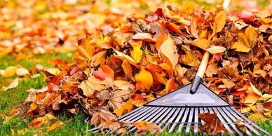 Fall leaf cleanup