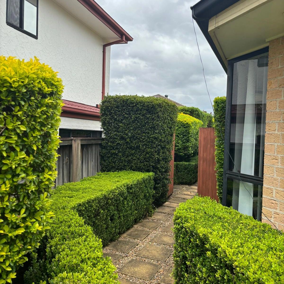hedging and prunning