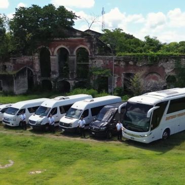 Autobuses y camionetas blancas alineados frente a ruinas antiguas.