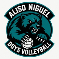 alisoniguelboysvolleyball