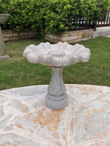 Elegant stone birdbath with a scalloped edge in a garden.