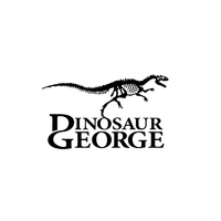 Dino George LLC