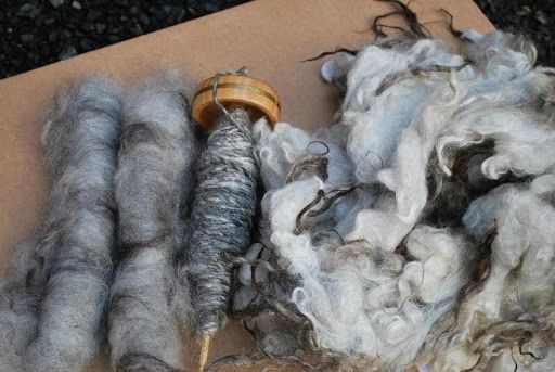 Tall Timbers Forest Farm photo 7