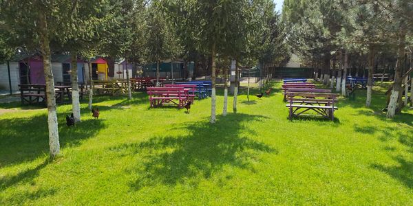 İstanbul da Kurumsal Piknik organizasyonu Piknik Alanları.