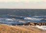 Knollwood Beach, Old Saybrook,CT.