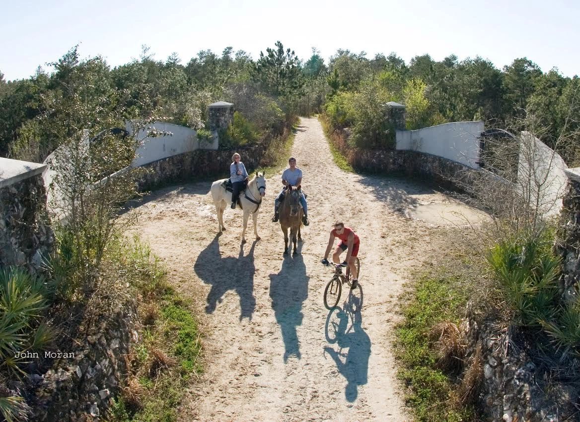 Cross Florida Greenway Equestrians