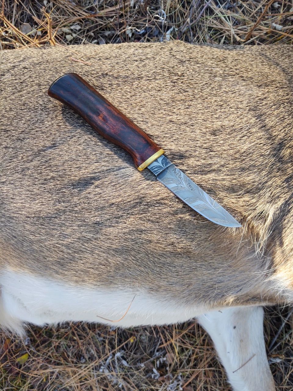 Hand Made Firecreekforge.Com Handmade Custom Skinning Knife Bocote Wood  Handle by Fire Creek Forge