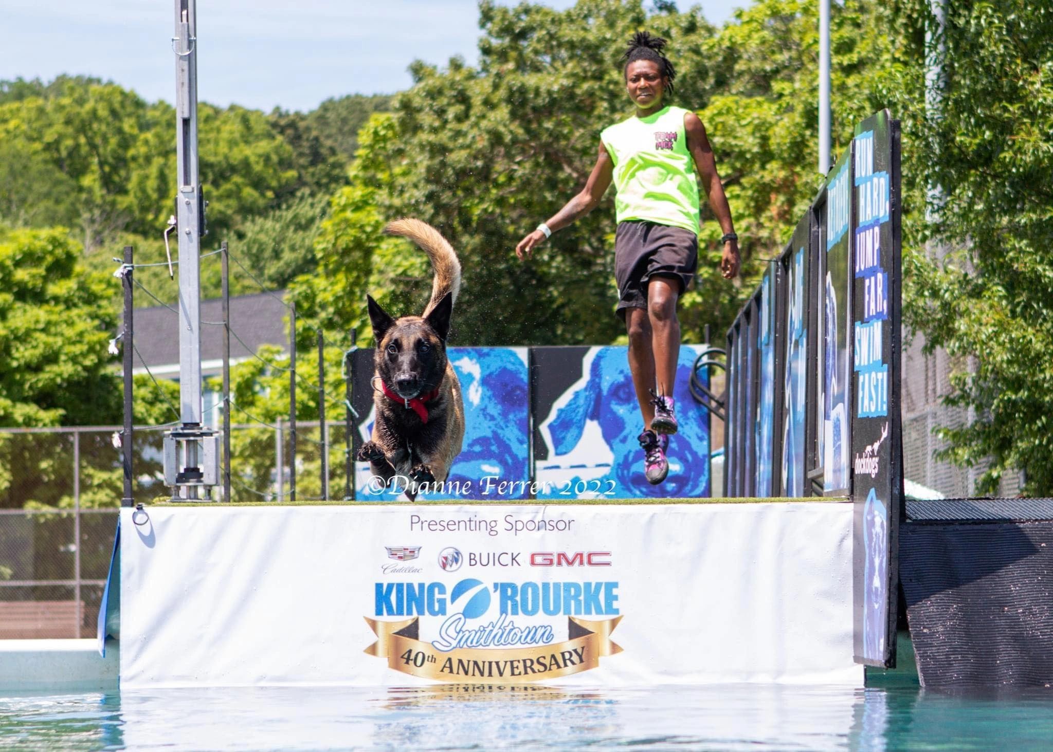 Elite pet clearance supplies