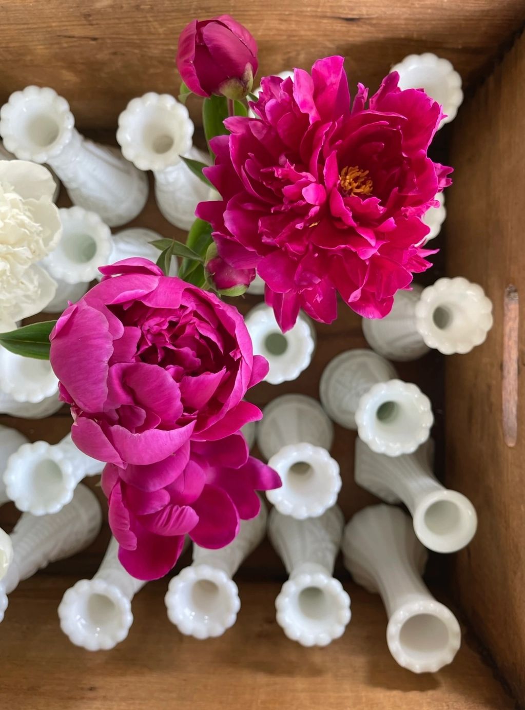 Email Lisa  Lisa@cherryhillblooms.com

