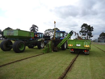 Sportsfield drainage