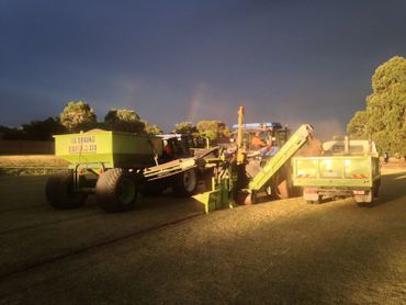 Sportsfield drainage