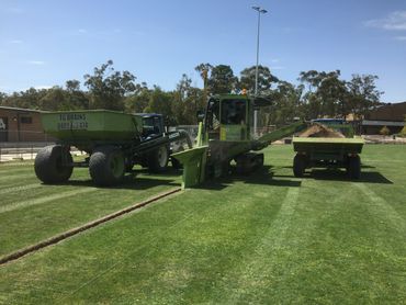 Sportsfield drainage