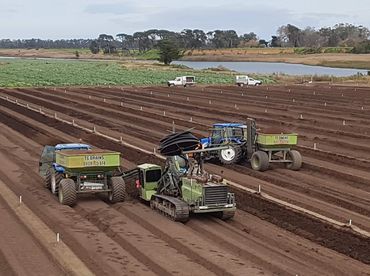Subsurface drainage