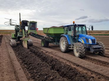 Subsurface drainage