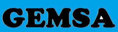 GRUPO GEMSA