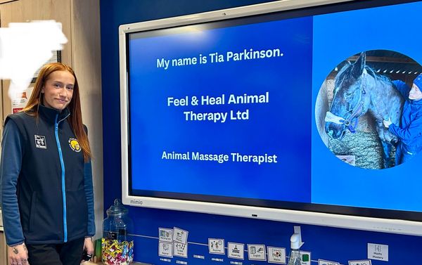 Tia Parkinson presenting as an Animal Massage Therapist at Feel &amp; Heal Animal Therapy Ltd.