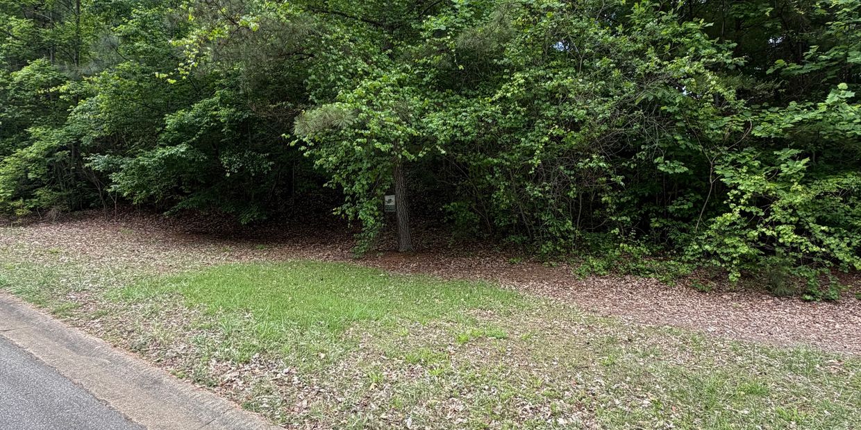 Lush green trees and grass lining a roadside.