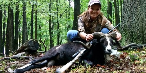 Shilo Ranch - Exotic Hunts, Exotic Animals, Hunter Shilo Ranch - Exotic Hunts, Exotic Animals, Hunter