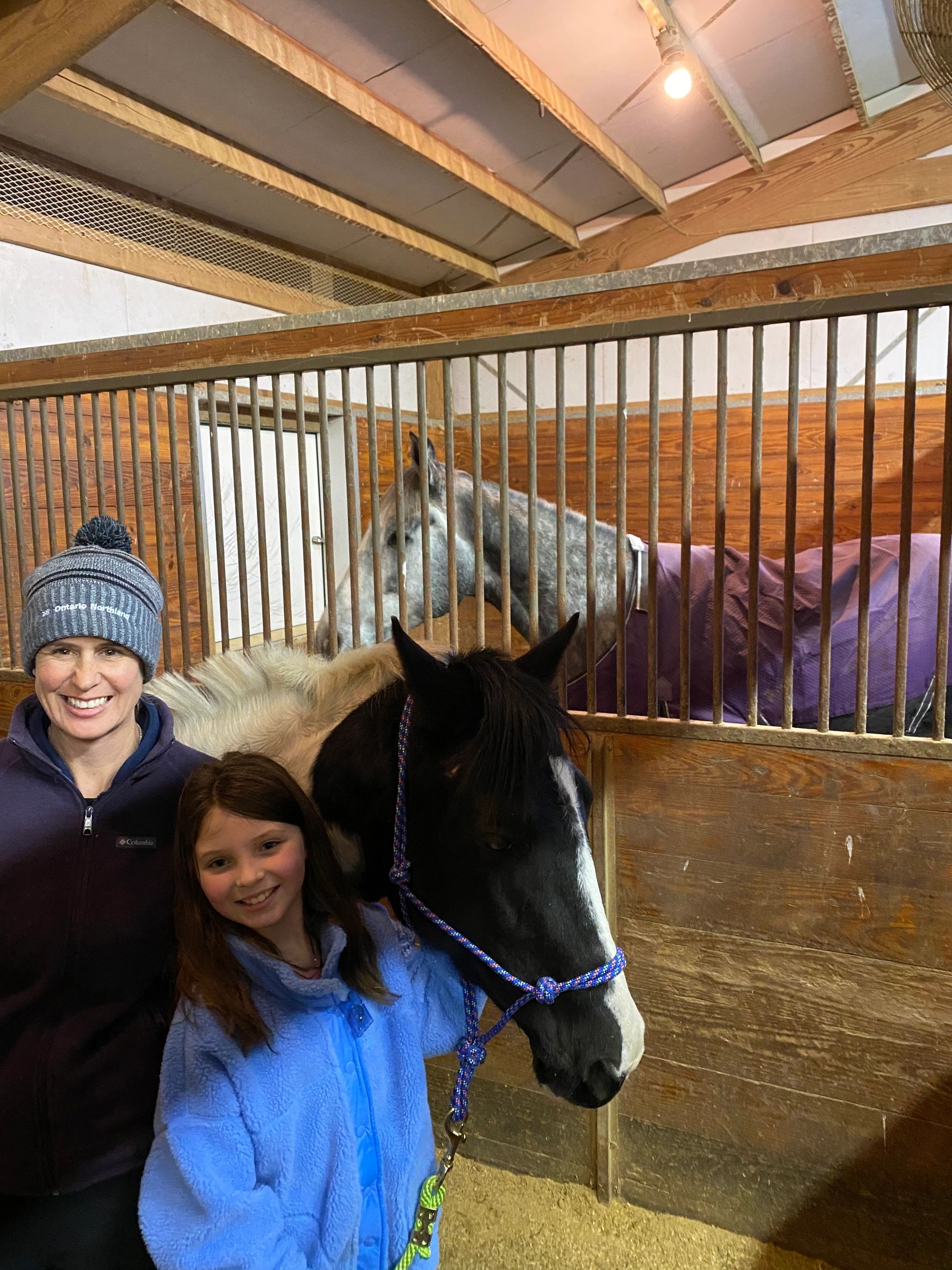 Oak Ridge Farm Equestrian Horse Boarding, Riding Lessons