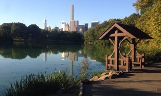 Central Park Run Running Tours New York sites lake skyline