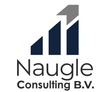 Naugle Consulting