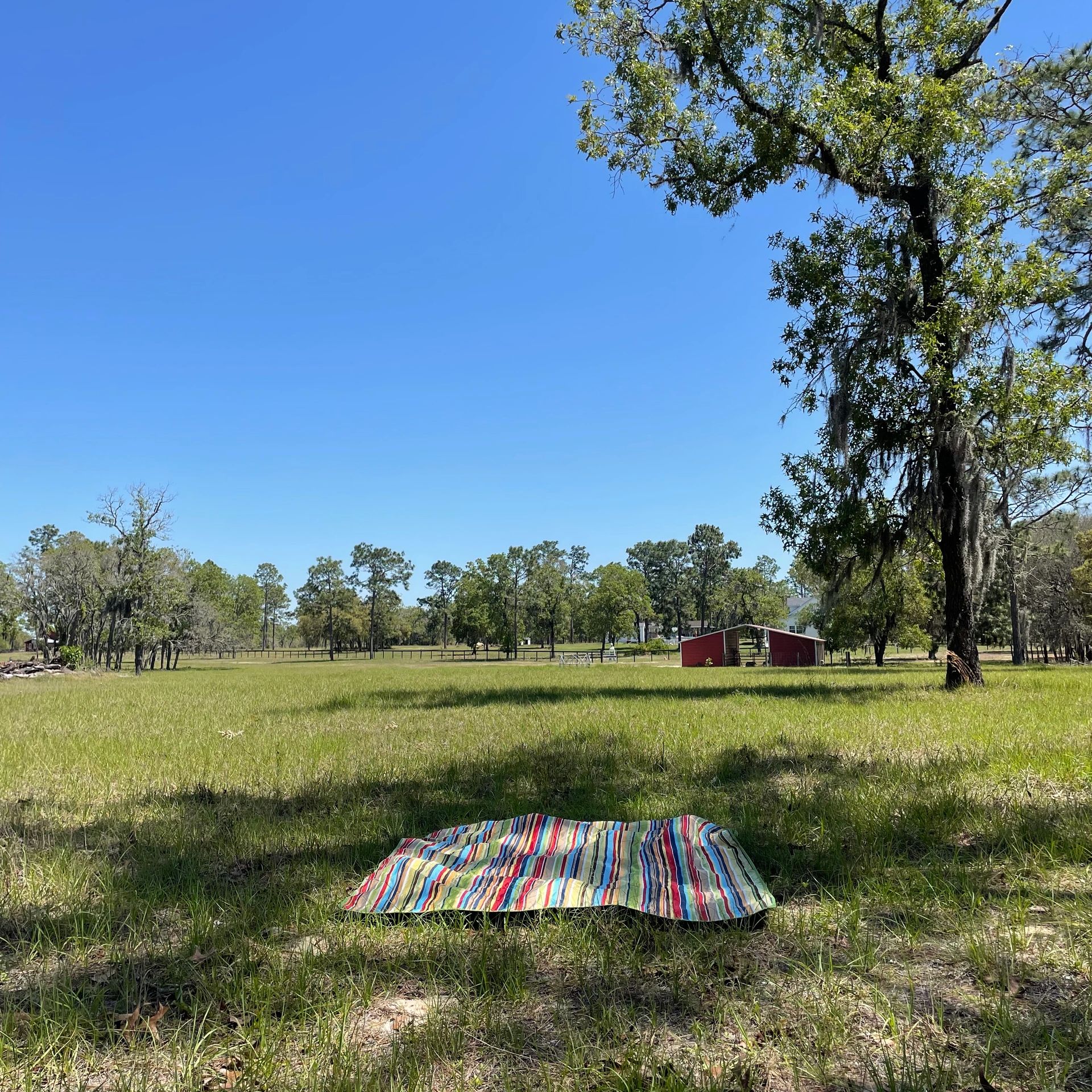Colorful blanket on green field under blue sky.