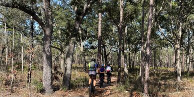 San Felasco Hammock Preserve State Park bike trails