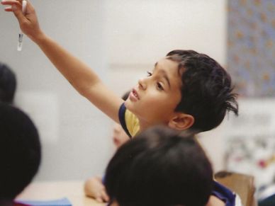 A young student excitedly raises hios hand with an idea. 