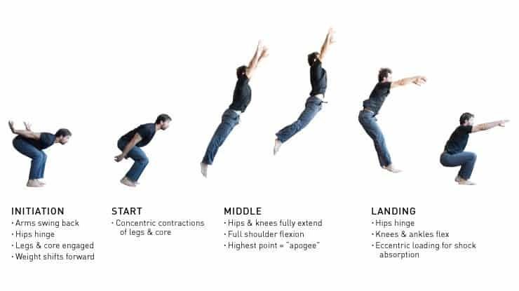 Improve Your SCR Broad Jump By Coach Mike Chadwick improve-your-scr-broad-jump-by-coach-mike-chadwick