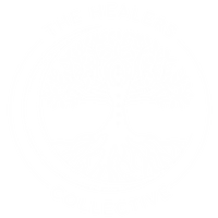 Healers Collective