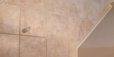 Residential tile grout repair and color sealing in San Tan Valley, AZ.