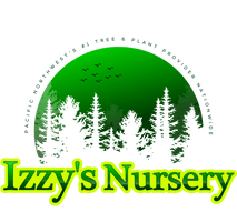 Izzy's Nursery