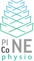 Pineconephysio