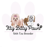 Itty Bitty Paws🐾
