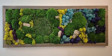 Framed moss and preserved plants art piece with vibrant greens and yellows.